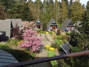 View of self catering cabins